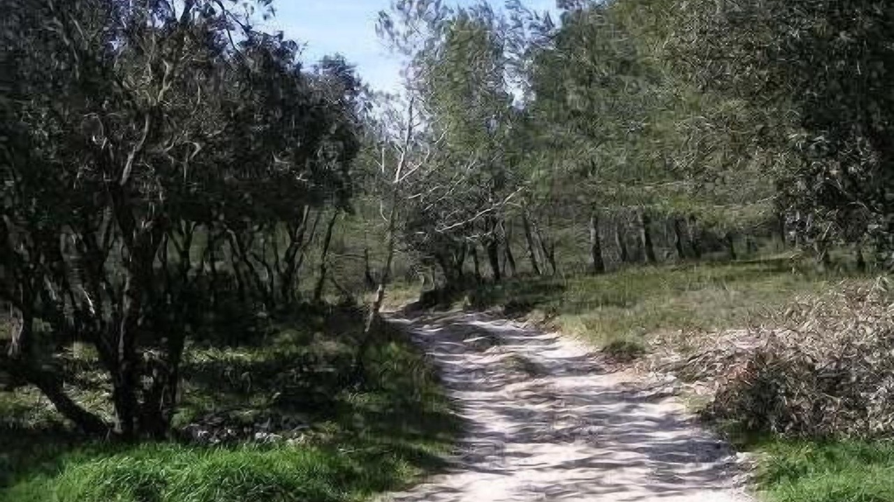Photo of Outdoor in Les Pennes-Mirabeau