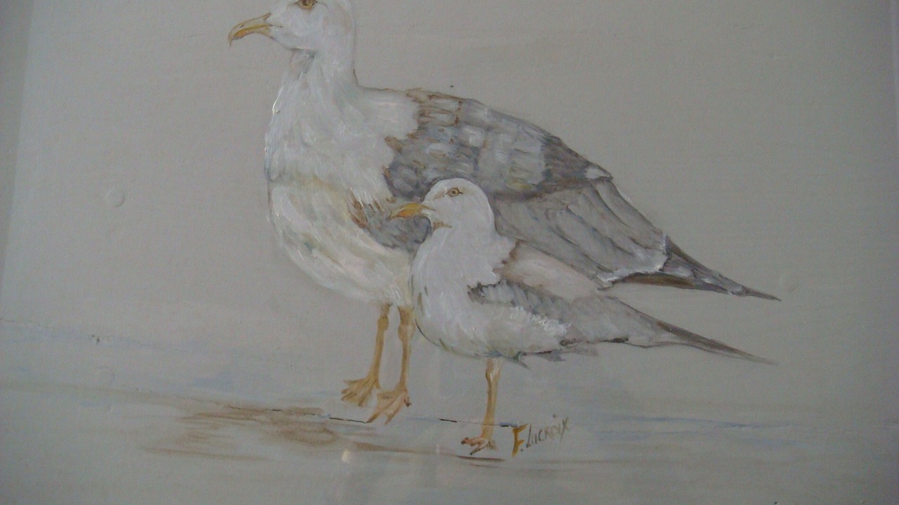 Photo of Others in Blonville-sur-Mer