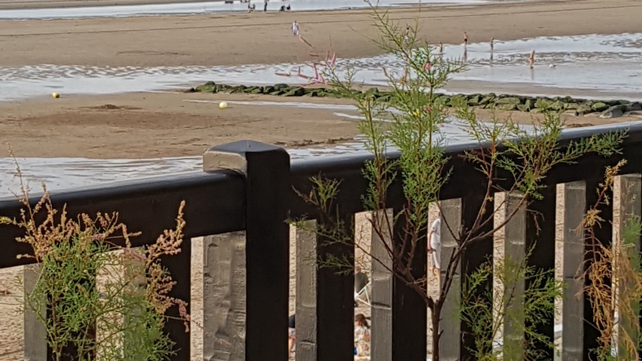 Photo of Others in Blonville-sur-Mer