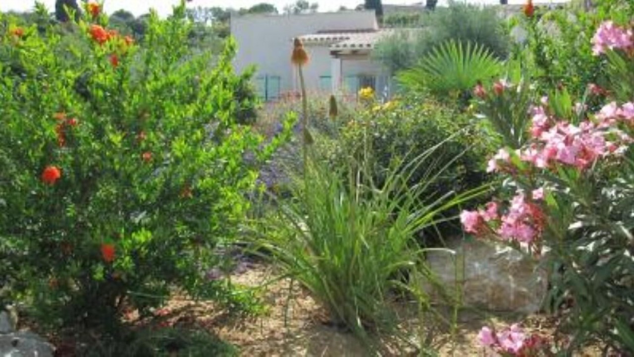 Photo of Outdoor in Blauzac