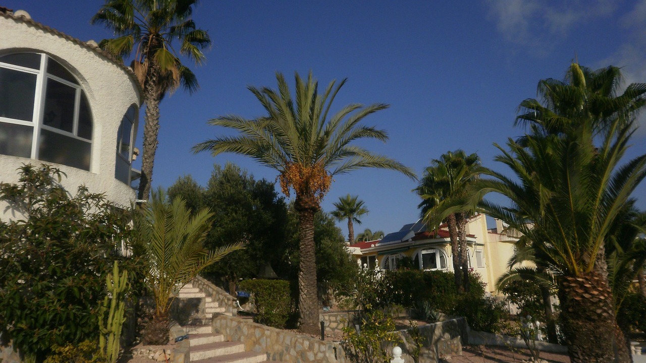 Photo of Outdoor in Quesada