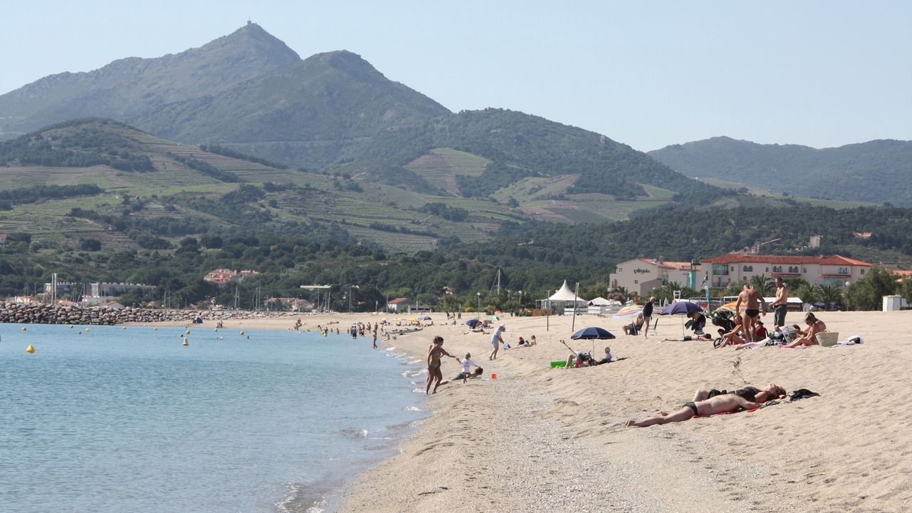 Photo of Others in Sorede