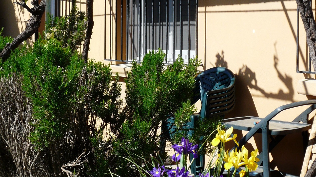 Photo of Patio Balcony in Alenya
