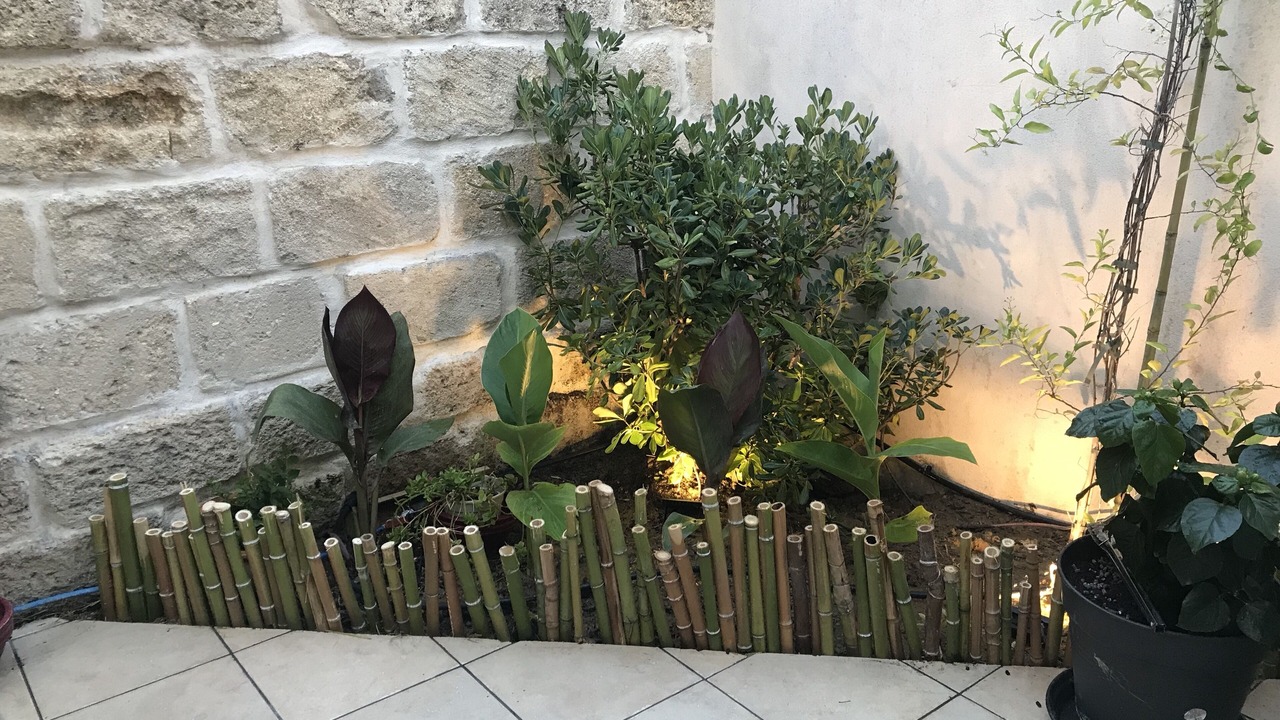 Photo of Outdoor in Saint-Laurent-d'Aigouze