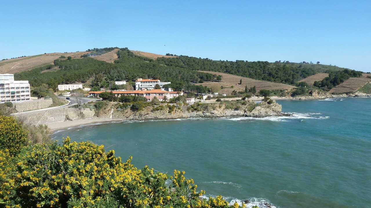 Photo of Others in Banyuls-sur-Mer