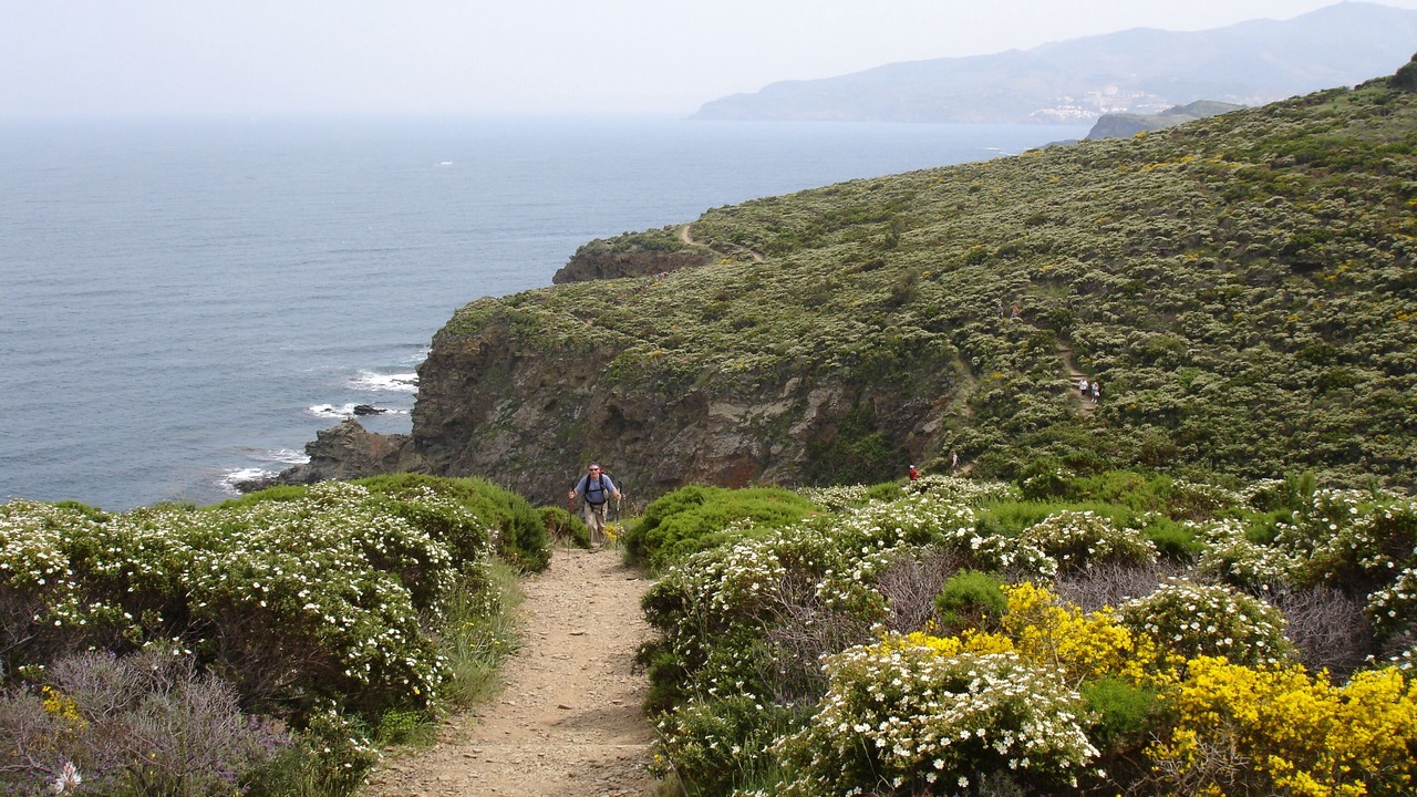 Photo of Others in Banyuls-sur-Mer