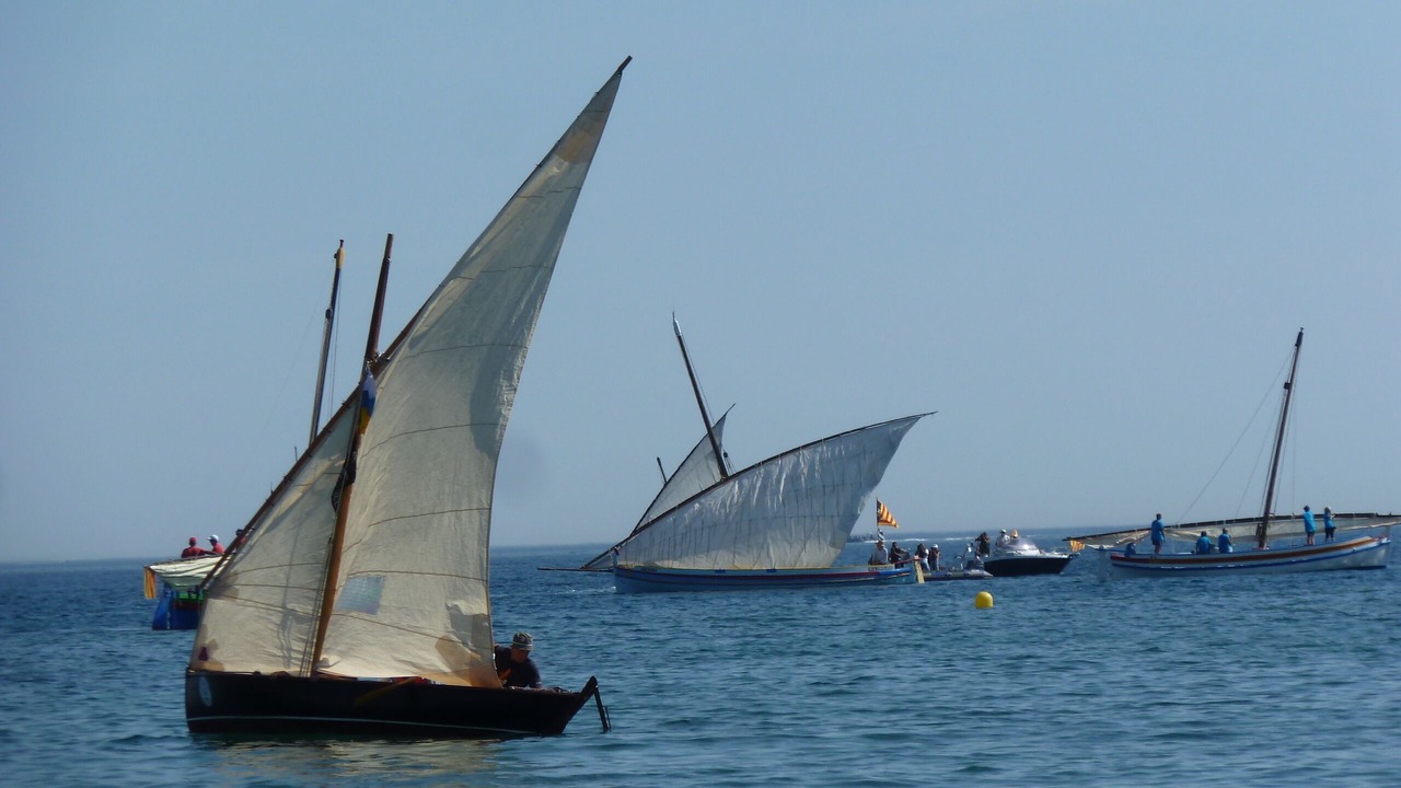 Photo of Others in Banyuls-sur-Mer