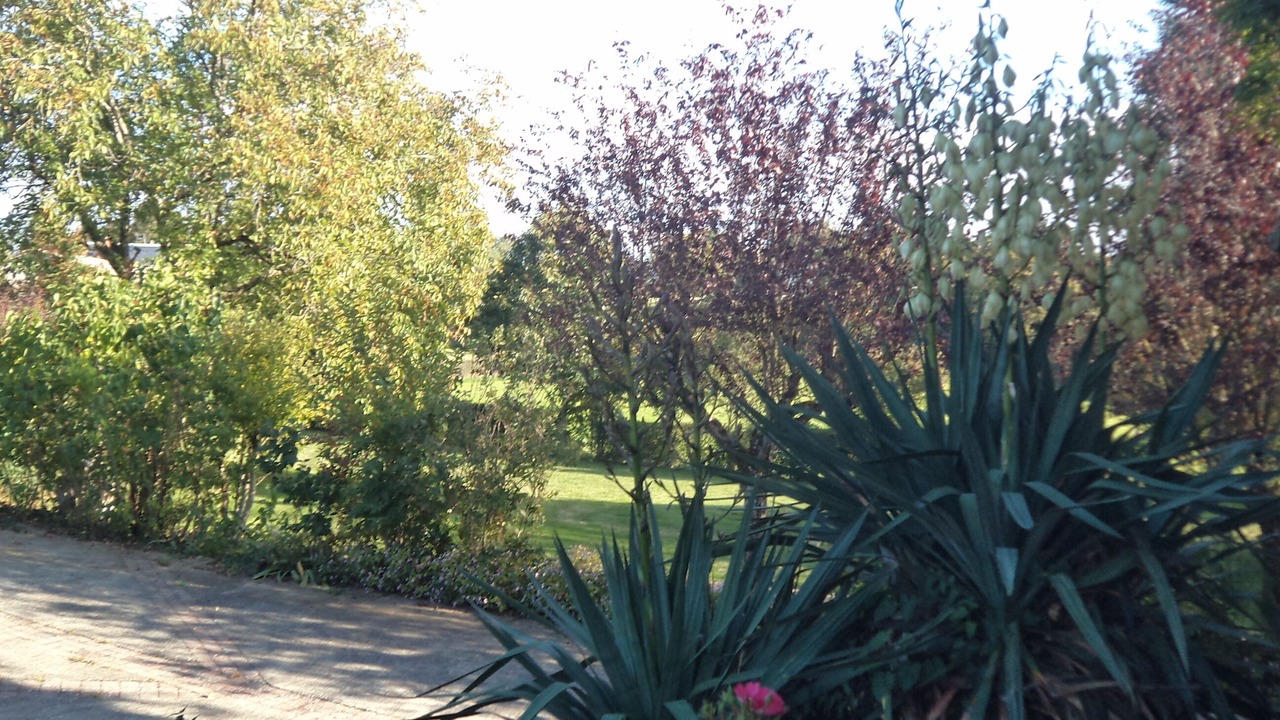 Photo of Outdoor in Rullac-Saint-Cirq