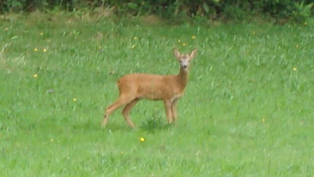 Photo of Outdoor in Le Bez