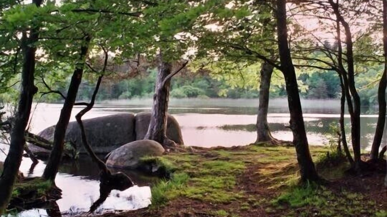 Photo of Outdoor in Le Bez