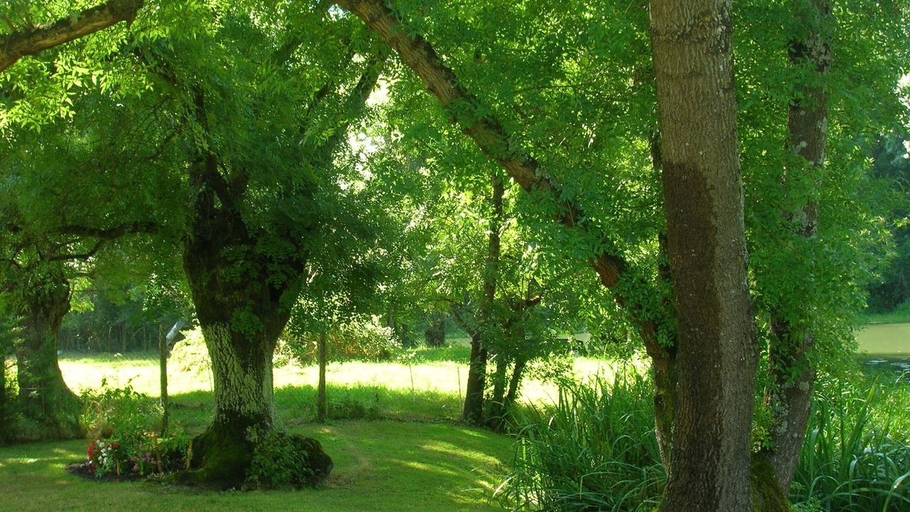 Photo of Outdoor in Azay-le-Rideau