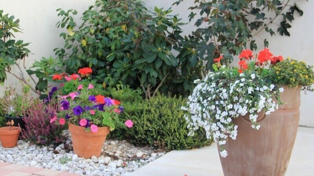Photo of Outdoor in Puyravault