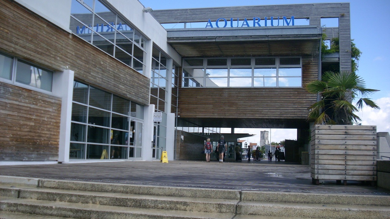 Photo of Outdoor in Menomblet