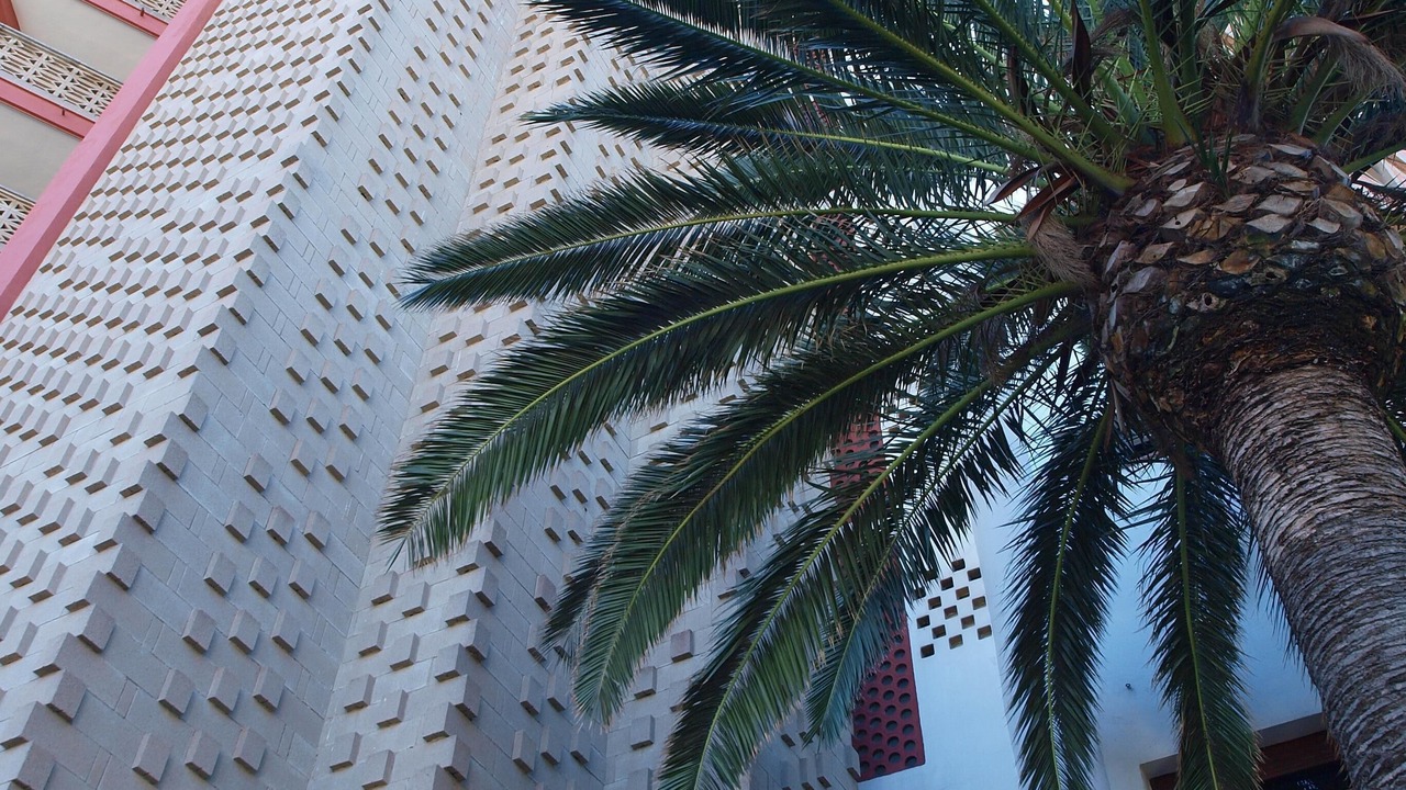 Photo of Outdoor in Sant Salvador