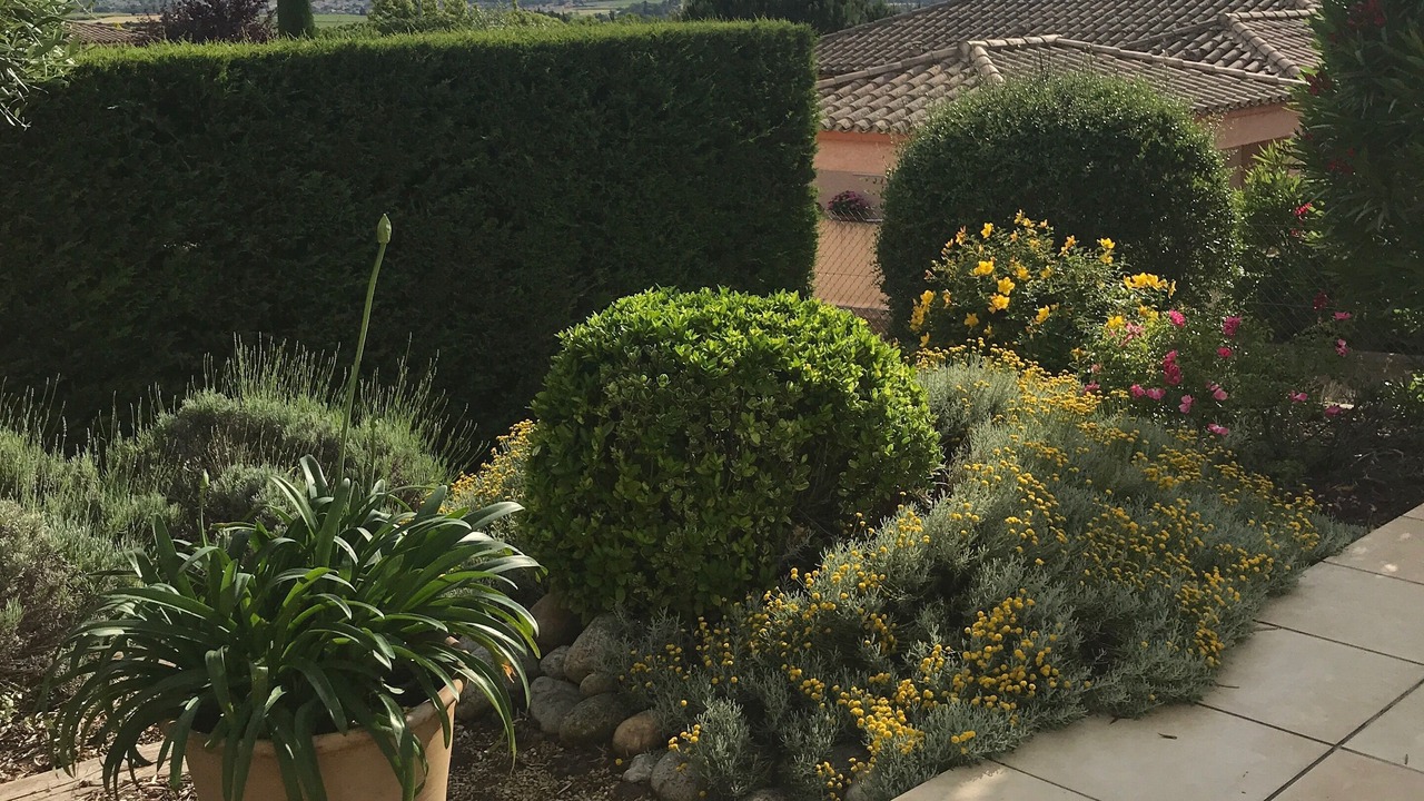 Photo of Outdoor in Carcassonne