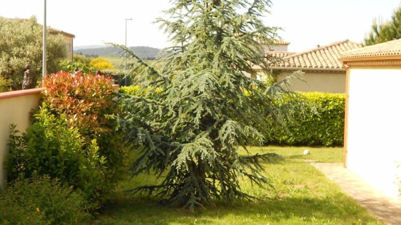 Photo of Outdoor in Carcassonne