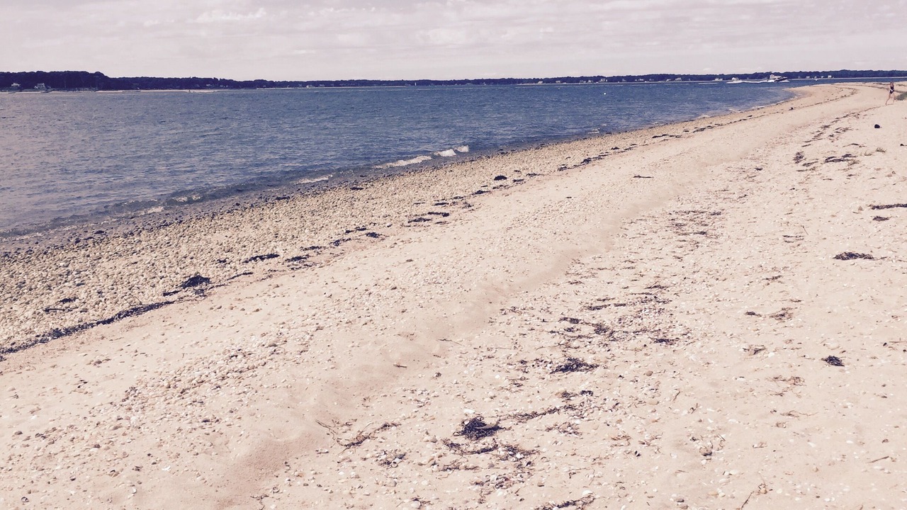 Photo of Others in Silver Beach