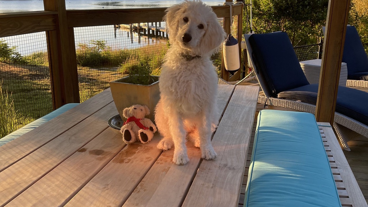 Photo of Outdoor in Silver Beach