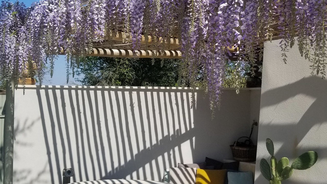 Photo of Outdoor in Balazuc