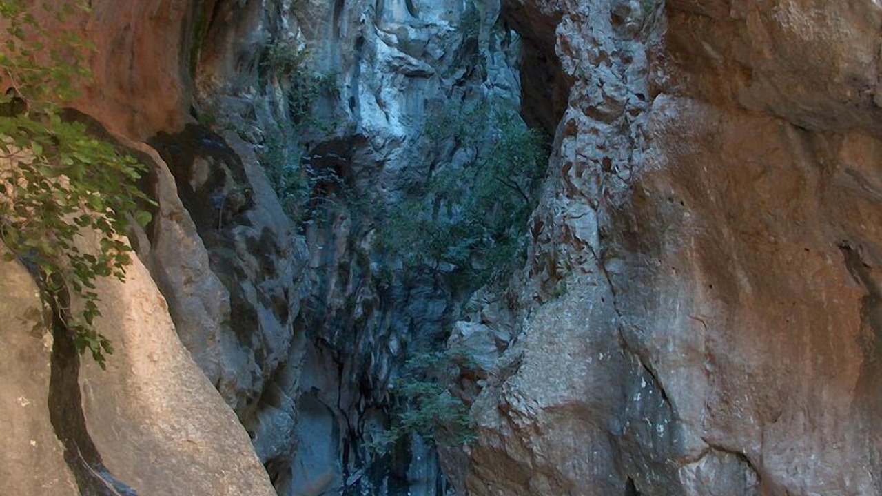 Photo of Others in Orba