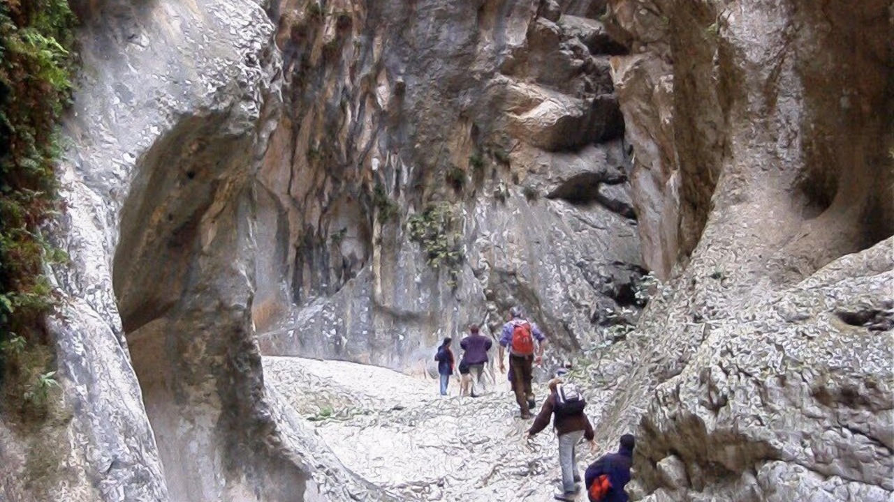Photo of Others in Orba