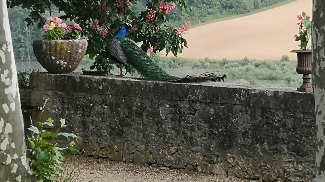 Photo of Outdoor in Castillon-Debats