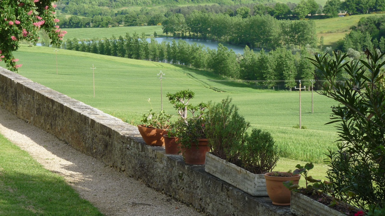 Photo of Outdoor in Castillon-Debats
