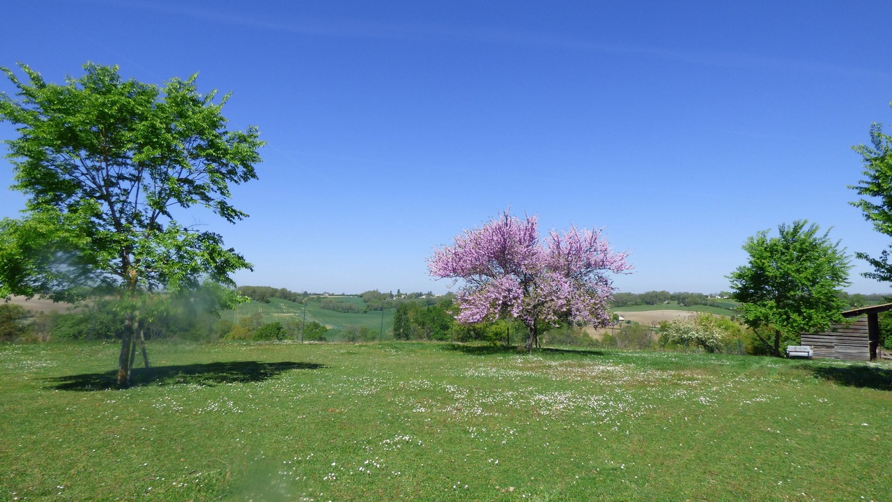 Photo of Outdoor in Douzains