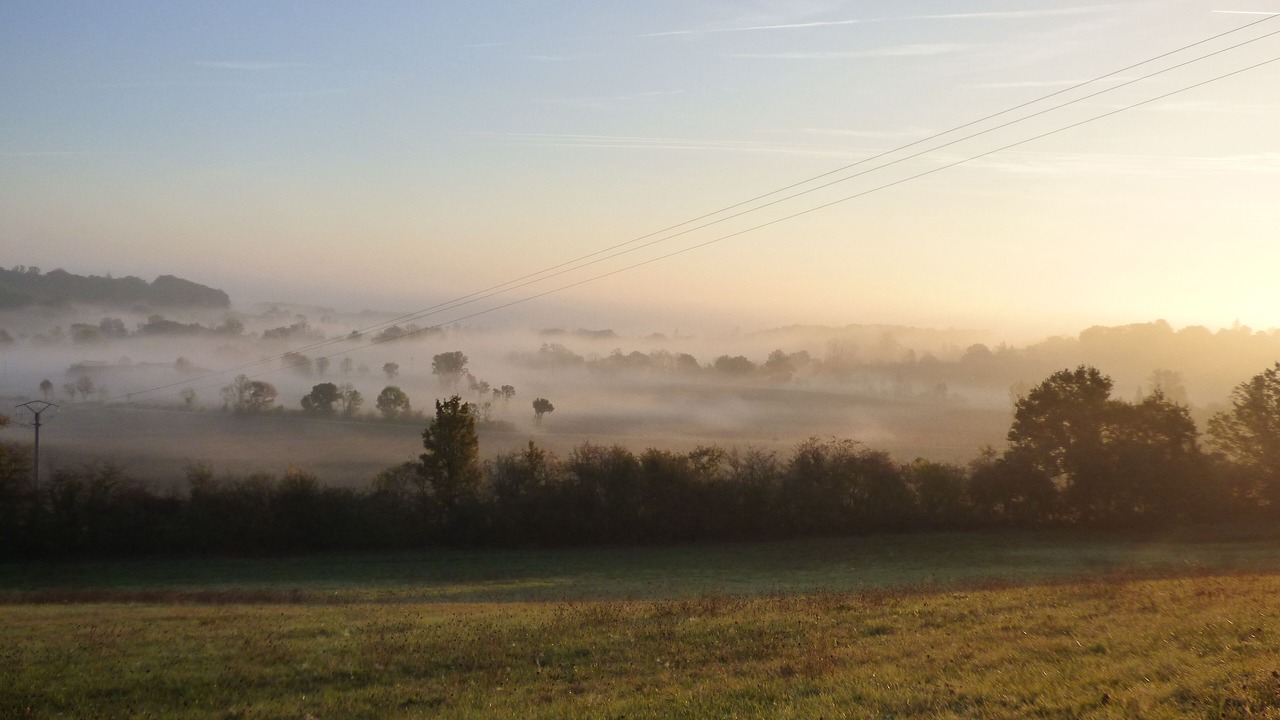 Photo of Others in Douzains