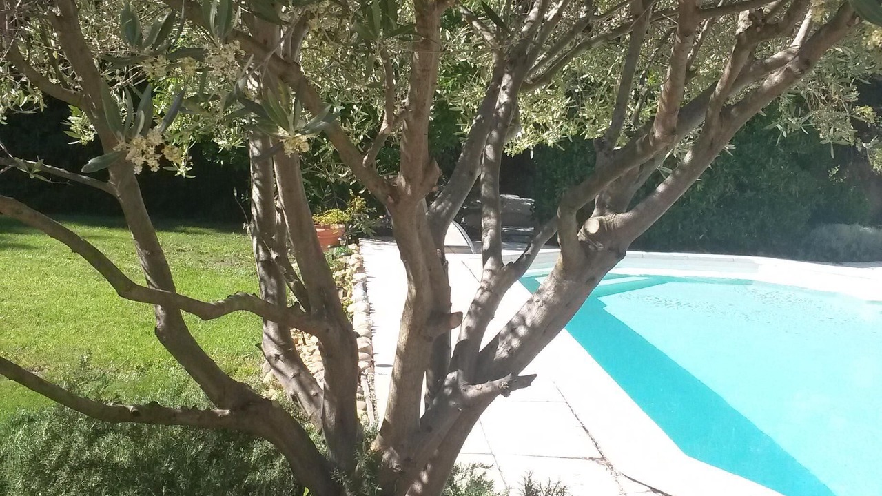 Photo of Outdoor in Entraigues-sur-la-Sorgue