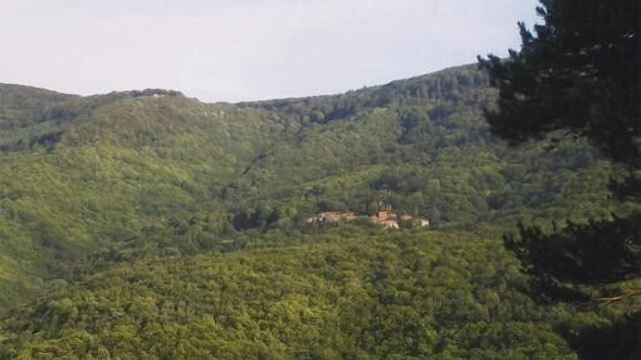 Photo of Outdoor in Riols