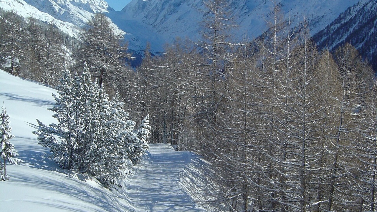 Photo of Others in Wiler
