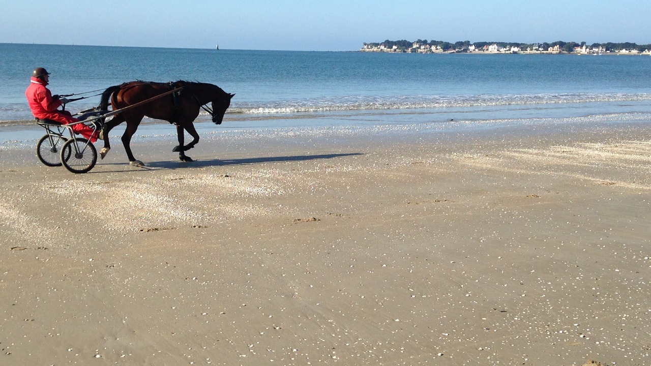Photo of Others in La Baule-Escoublac