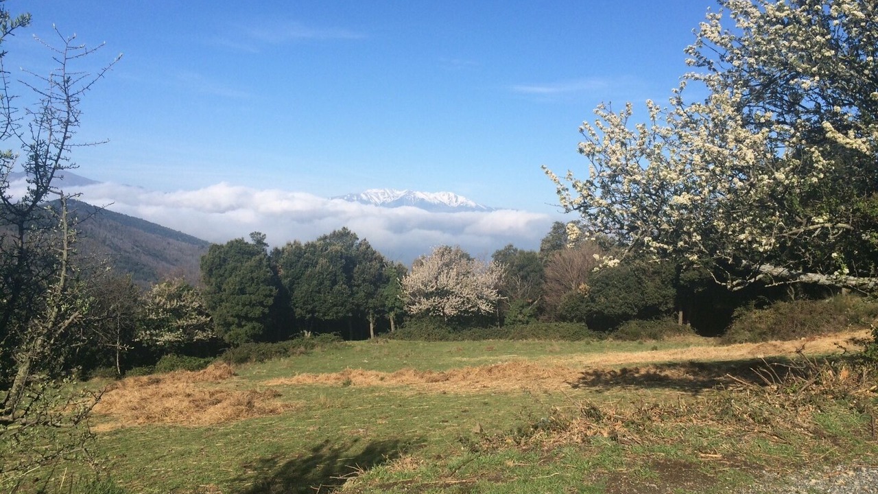 Photo of Outdoor in L'Albere