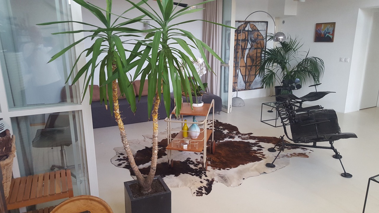 Photo of Others in Hyeres