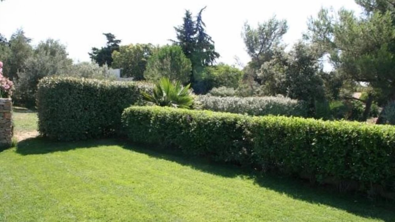 Photo of Outdoor in Costieres