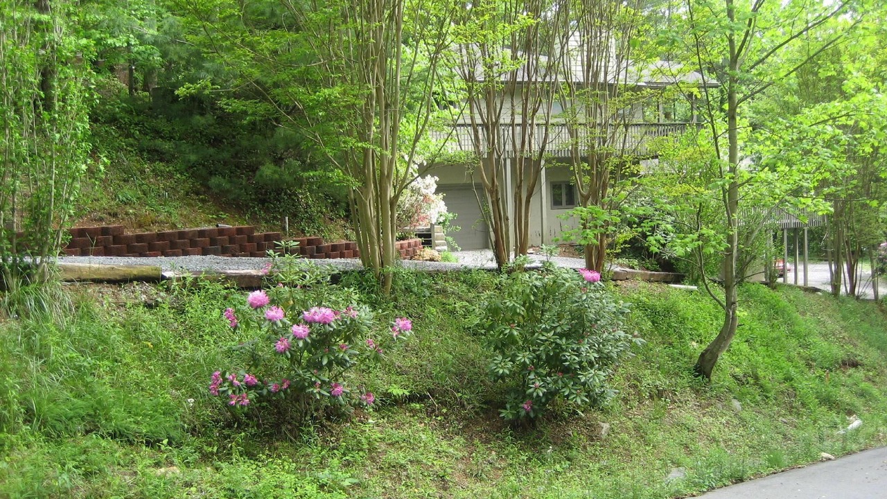 Photo of Outdoor in Waynesville