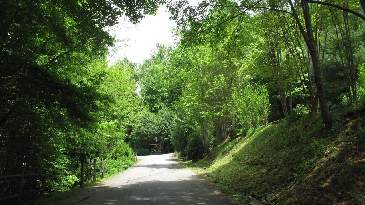 Photo of Outdoor in Waynesville