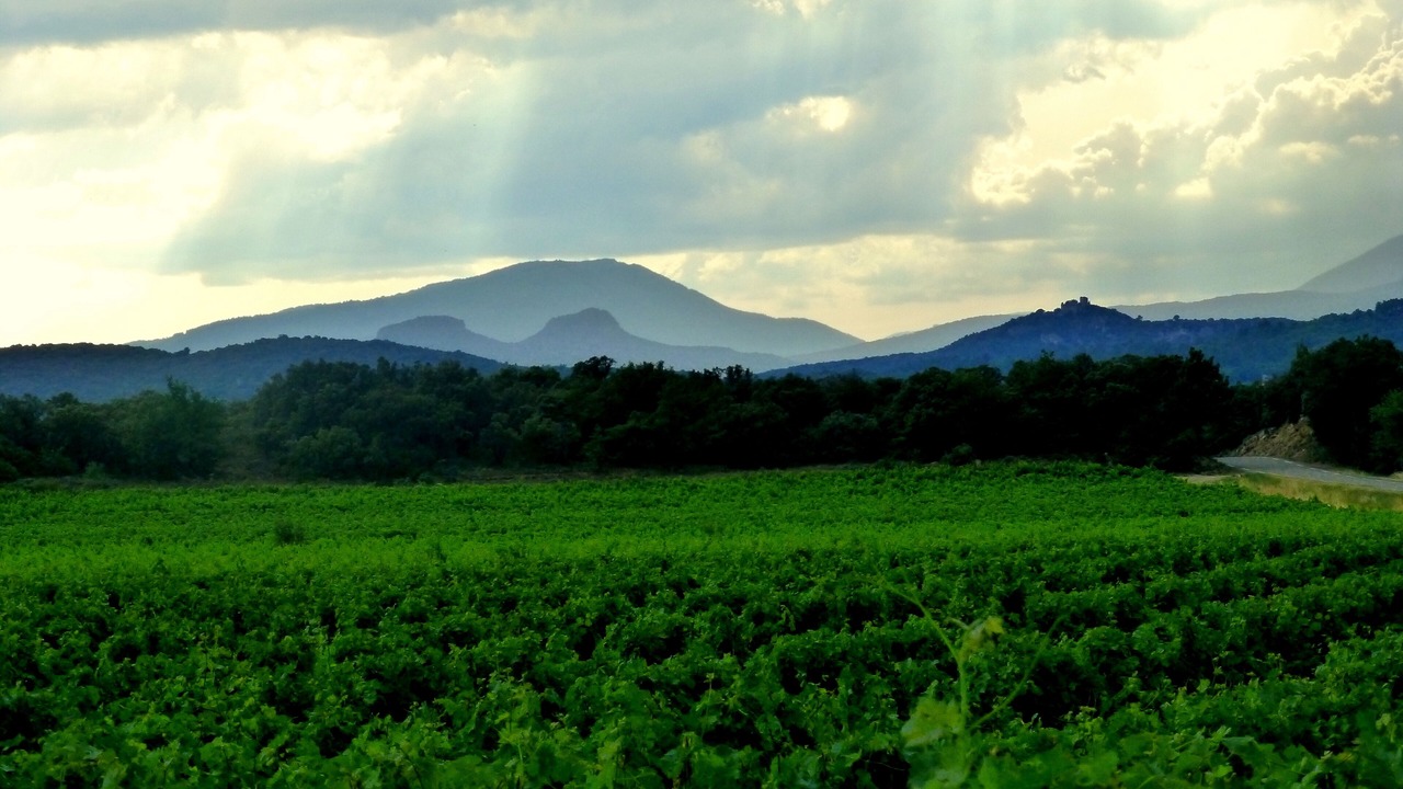 Photo of Others in Monoblet