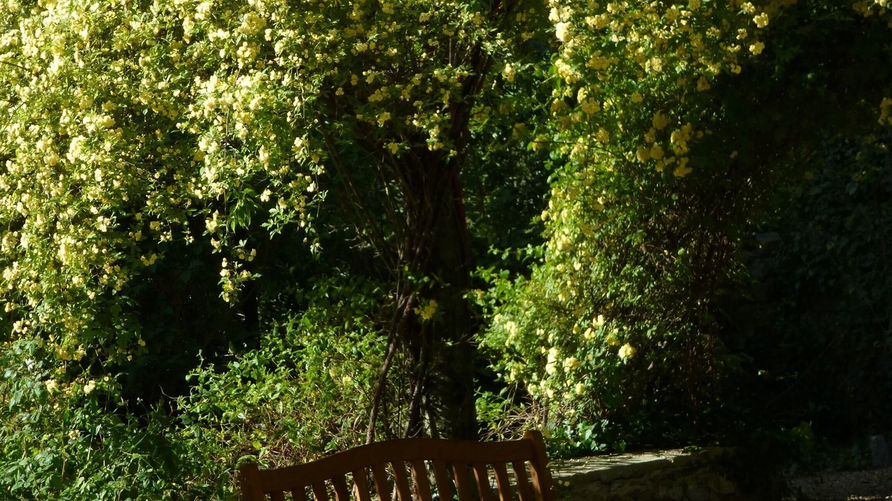 Photo of Patio Balcony in Monoblet