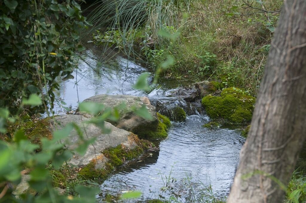 Photo of Outdoor in Pauls