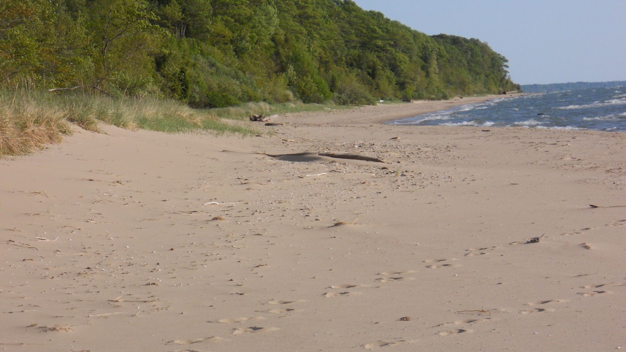 Photo of Outdoor in Fennville