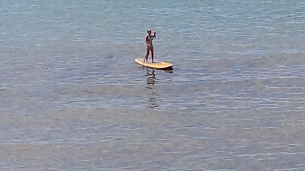 Photo of Others in Fennville