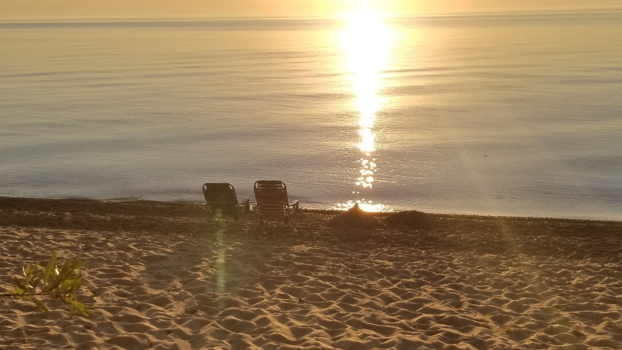 Photo of Others in Fennville