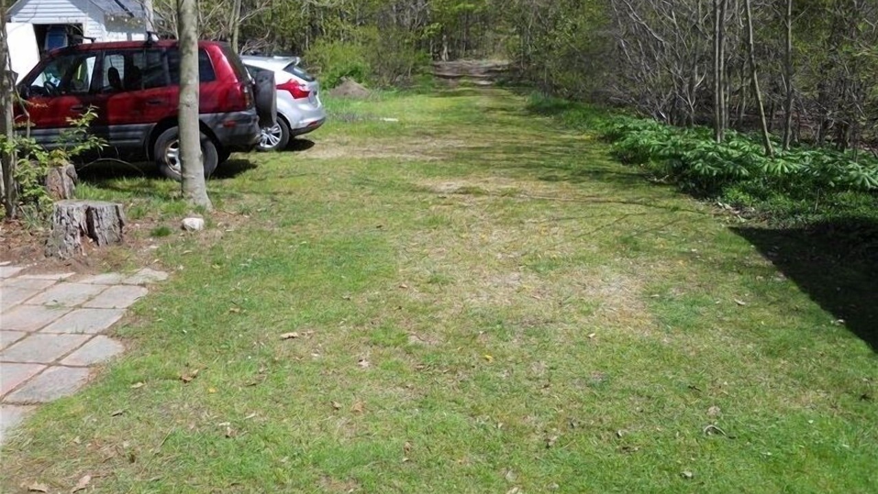 Photo of Others in Fennville