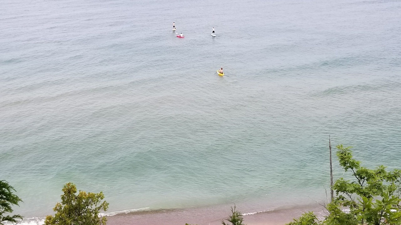 Photo of Others in Fennville
