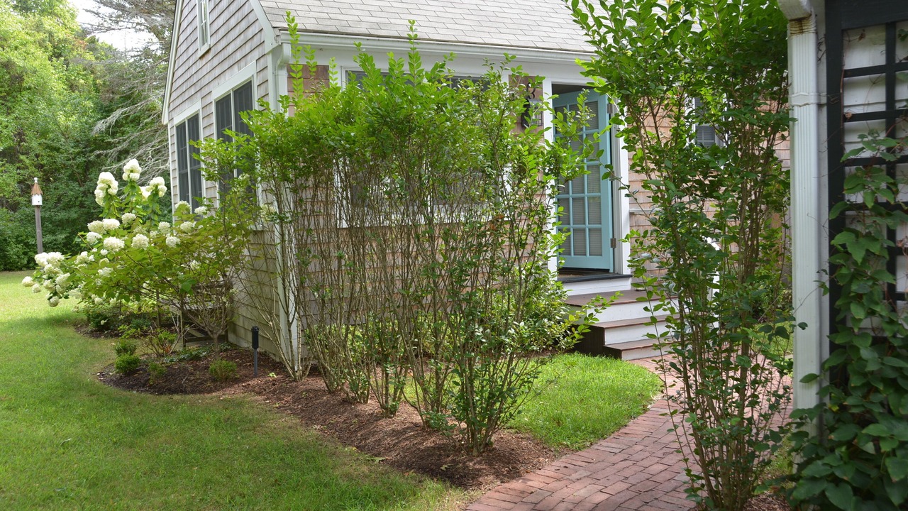 Photo of Others in Duxbury