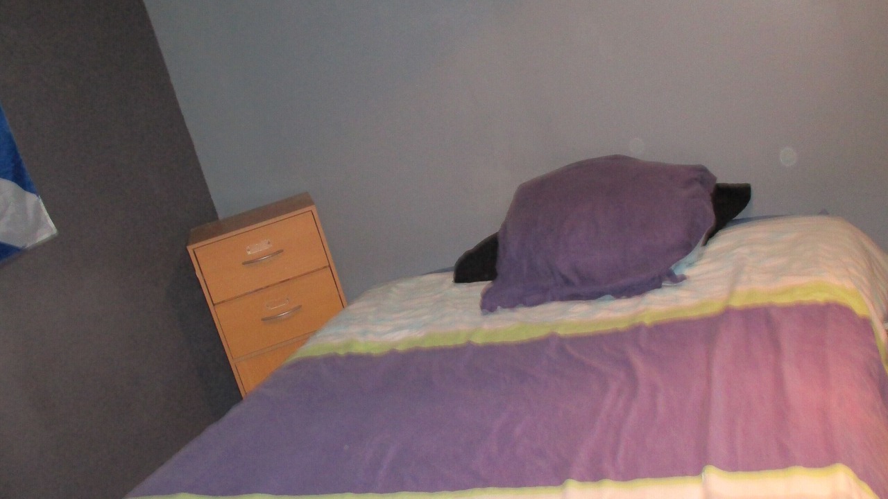 Photo of Bedroom in Cournonsec