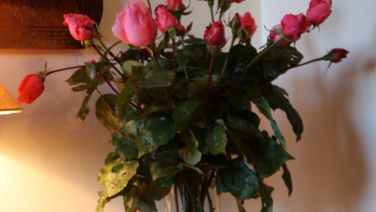 Photo of Others in Megeve