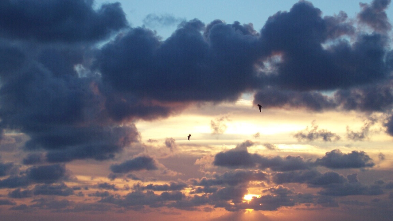 Photo of Others in Saint-Martin de Brehal